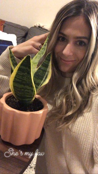 221894a3-9ca6-46bb-8f26-f95fb6bd997d