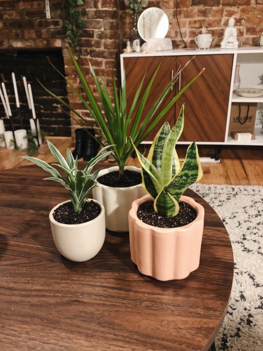 Processed with VSCO with a6 preset